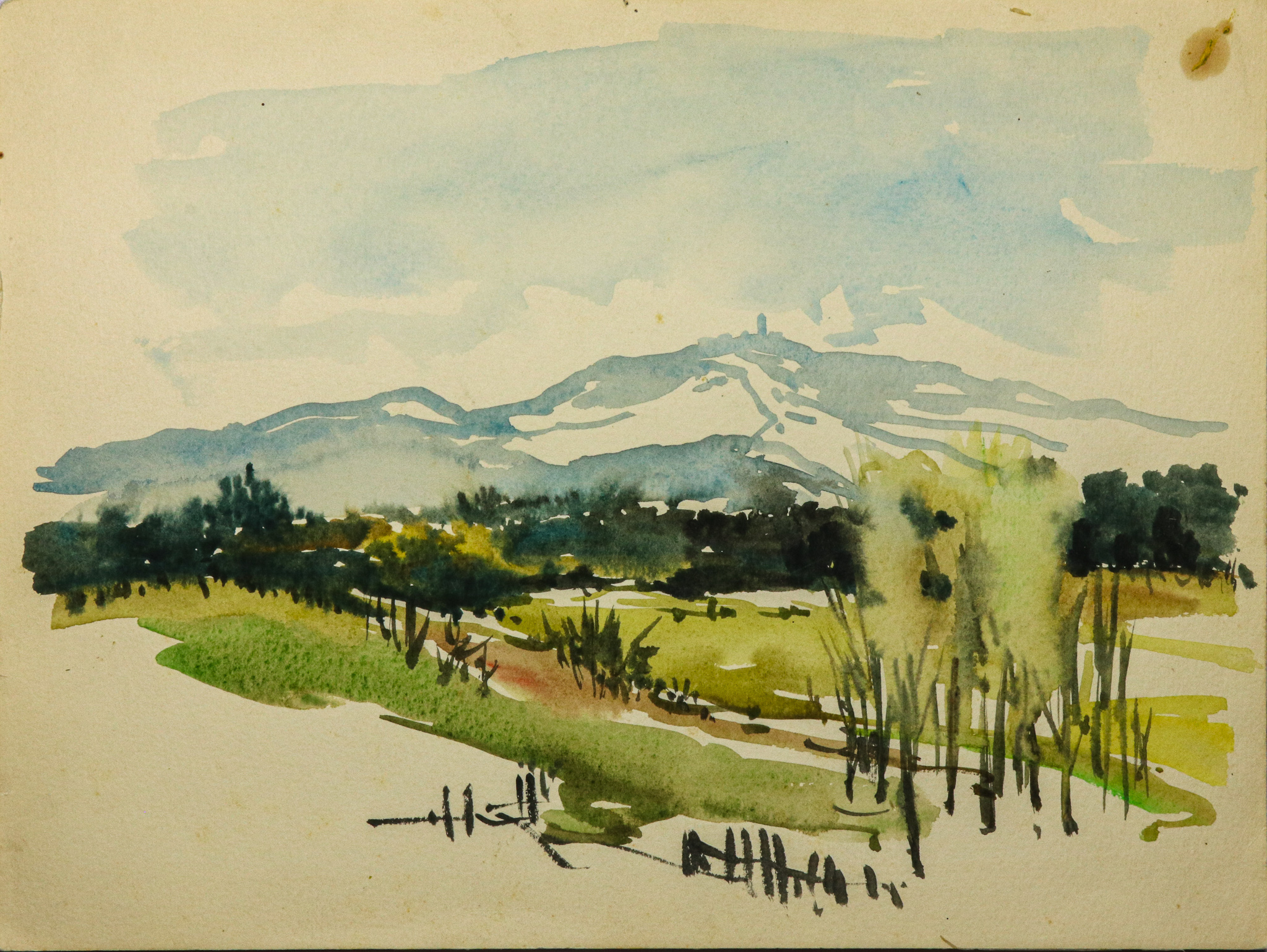 Wiesengrund vor Inselsberg